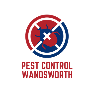 Pest Control Wandsworth